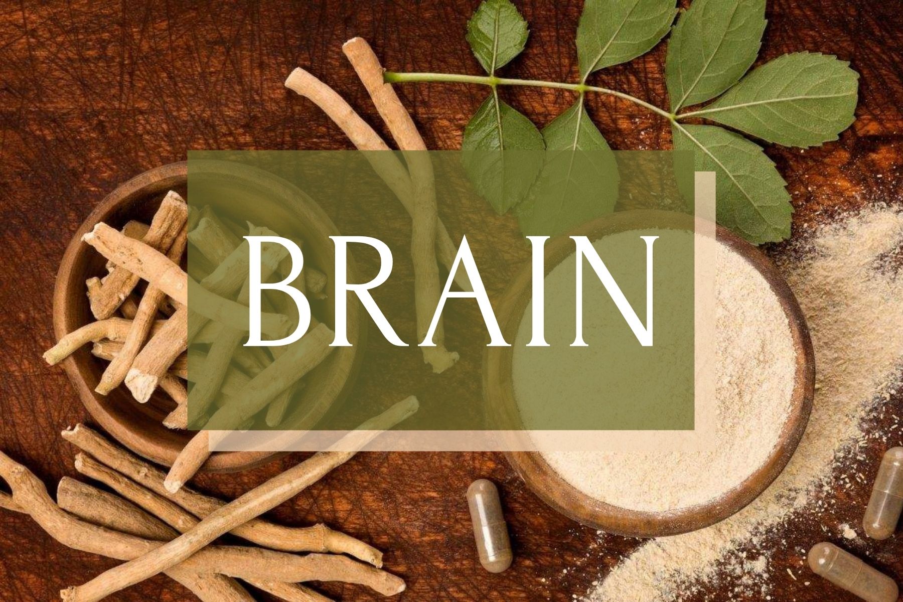BRAIN