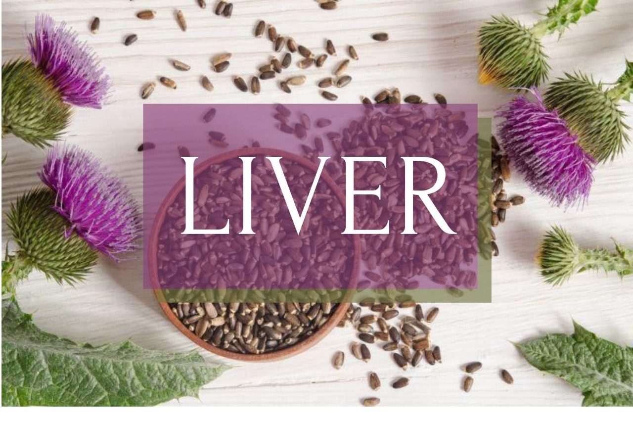 LIVER