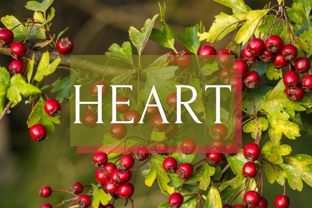 HEART
