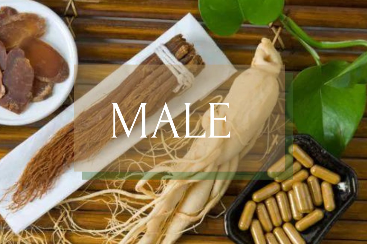 MALE