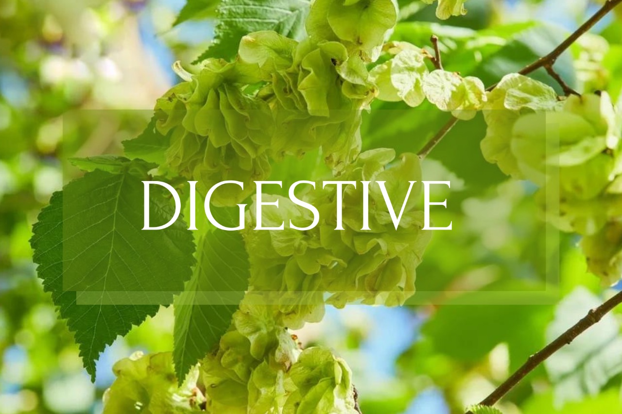 DIGESTIVE